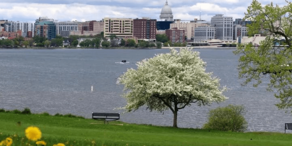 A picture of Madison in Spring