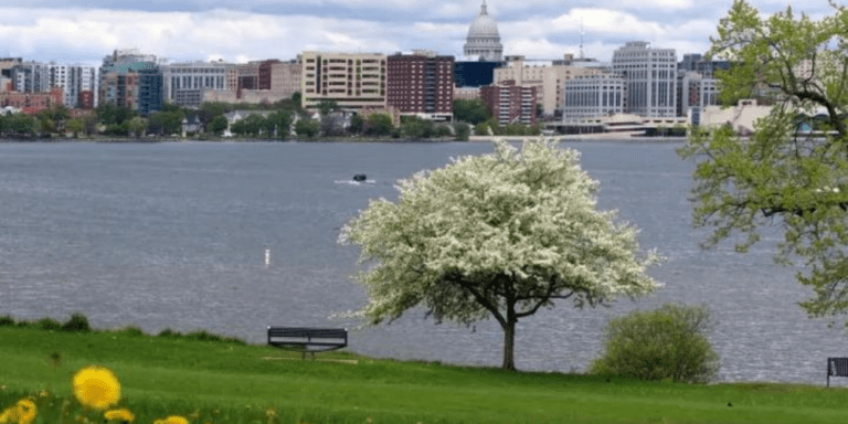 A picture of Madison in Spring