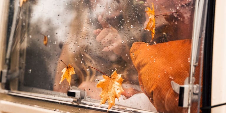 Couple in window looking out with fall leaves and rainy weather